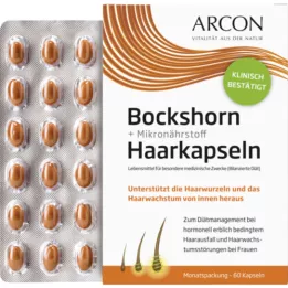 BOCKSHORN+Mikrobesin saç kapsülleri Tisane plus, 60 adet