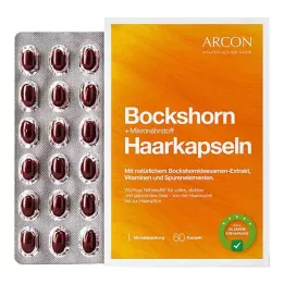 BOCKSHORN+Mikrobesin saç kapsülleri Tisane plus, 60 adet