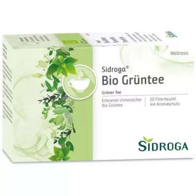 SIDROGA Wellness yeşil çay filtre torbası, 20X1,7 g