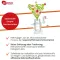 ZELL OXYGEN Bağışıklık kompleksi kür sıvısı, 3X250 ml