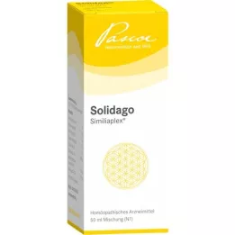 SOLIDAGO SIMILIAPLEX Damla, 50 ml