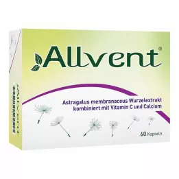 ALLVENT Kapsüller, 60 adet