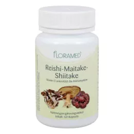 REISHI-MAITAKE-Sağlıklı hücreler için iyi Shitake kapsülleri, 60 adet