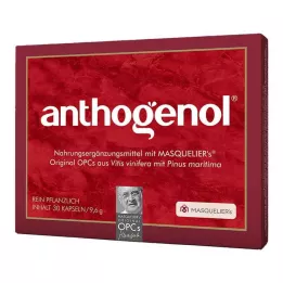 ANTHOGENOL Masquelier OPC Kapsüller, 30 adet
