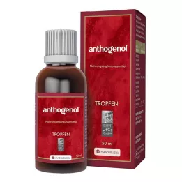 ANTHOGENOL Masquelier OPC Damla, 50 ml