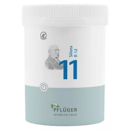 BIOCHEMIE Pflüger 11 Silicea D 12 Tablet, 1000 Kapsül