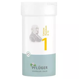 BIOCHEMIE Pflüger 1 Kalsiyum fluoratum D 12 toz, 100 g