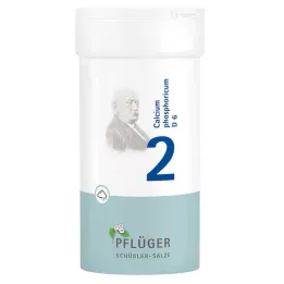 BIOCHEMIE Pflüger 2 Kalsiyum fosforikum D 6 Toz, 100 g