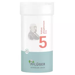 BIOCHEMIE Pflüger 5 Potasyum fosforikum D 6 tozu, 100 g