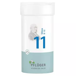 BIOCHEMIE Pflüger 11 Silicea D 12 toz, 100 g