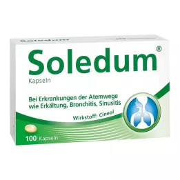 SOLEDUM 100 mg gastro-dirençli kapsül, 100 adet
