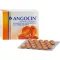 ANGOCIN Anti Infekt N film kaplı tabletler, 200 adet