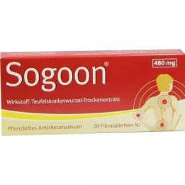 SOGOON 480 mg film kaplı tablet, 20 adet