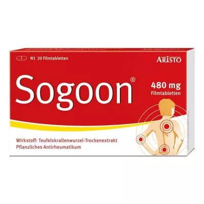 SOGOON 480 mg film kaplı tablet, 20 adet