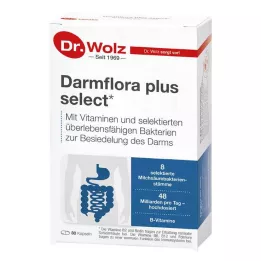 DARMFLORA artı seçkin kapsüller, 80 Kapsül