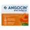 ANGOCIN Anti Infekt N film kaplı tabletler, 100 adet