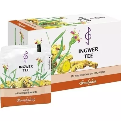 INGWER TEE Filtre torbası, 20X2 g