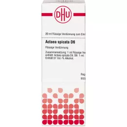 ACTAEA SPICATA D 6 seyreltme, 20 ml