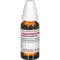 ACTAEA SPICATA D 6 seyreltme, 20 ml