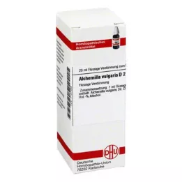 ALCHEMILLA VULGARIS D 2 seyreltme, 20 ml