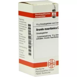 ARUNDO mauritanica C 30 globül, 10 g