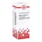 Asterias Rubens D6 Seyreltme (20 ml)