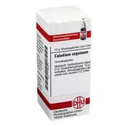 CALADIUM seguinum D 12 globül, 10 g
