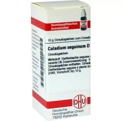 CALADIUM seguinum D 6 globül, 10 g