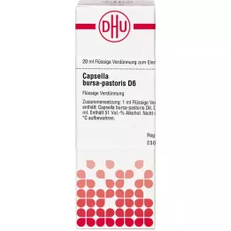 CAPSELLA BURSA pastoris D 6 dilüsyonu, 20 ml