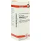 CAUSTICUM HAHNEMANNI C 30 seyreltme, 20 ml