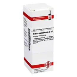 CISTUS CANADENSIS D 12 seyreltme, 20 ml