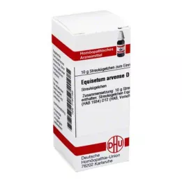 EQUISETUM ARVENSE D 12 globül, 10 g