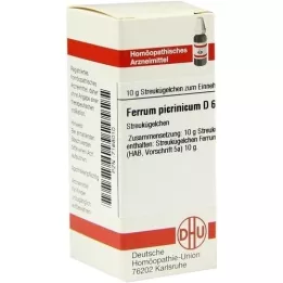 FERRUM PICRINICUM D 6 globül, 10 g