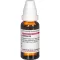 KALMIA D 8 seyreltme, 20 ml