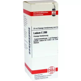 LEDUM C 200 seyreltme, 20 ml