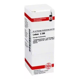 LEDUM C 200 seyreltme, 20 ml