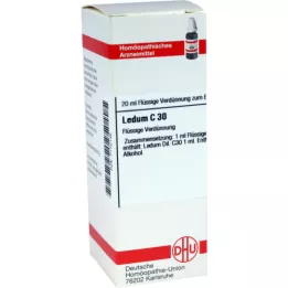 LEDUM C 30 seyreltme, 20 ml