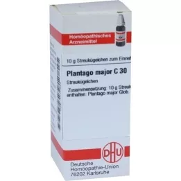 PLANTAGO MAJOR C 30 globül, 10 g