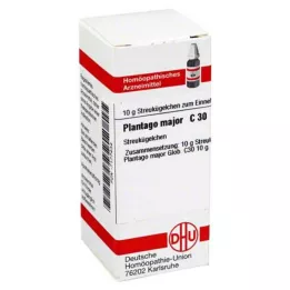 PLANTAGO MAJOR C 30 globül, 10 g