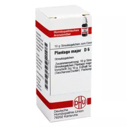 PLANTAGO MAJOR D 6 globül, 10 g