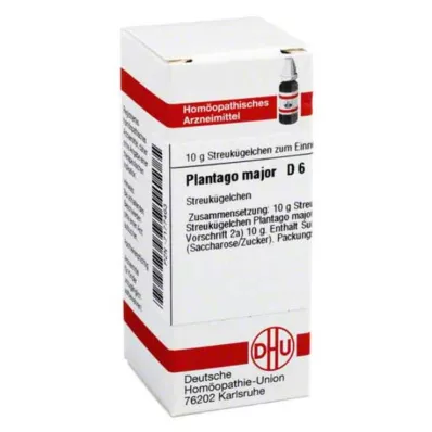 PLANTAGO MAJOR D 6 globül, 10 g