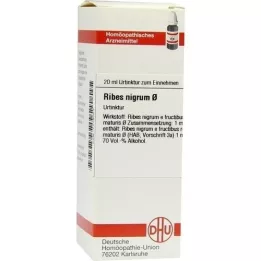 RIBES NIGRUM Ana tentür, 20 ml