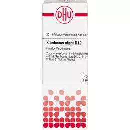 SAMBUCUS NIGRA D 12 seyreltme, 20 ml