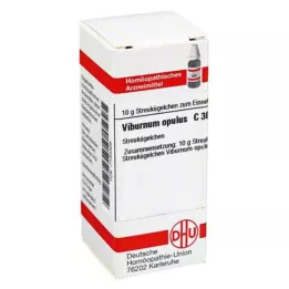 VIBURNUM OPULUS C 30 globül, 10 g