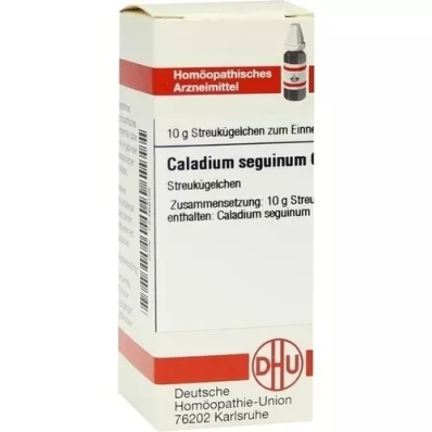 CALADIUM seguinum C 6 globül, 10 g