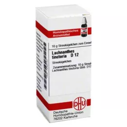 LACHNANTHES tinctoria D 12 globül, 10 g