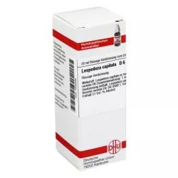 LESPEDEZA CAPITATA D 6 seyreltme, 20 ml