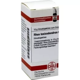 RHUS TOXICODENDRON C 5 globül, 10 g