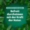 Bronchoforton® merhem, 100 g