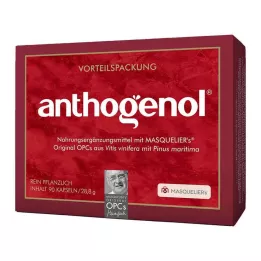 OPC ORIGINAL Masqueliers Anthogenol Kapsülleri, 90 Kapsül